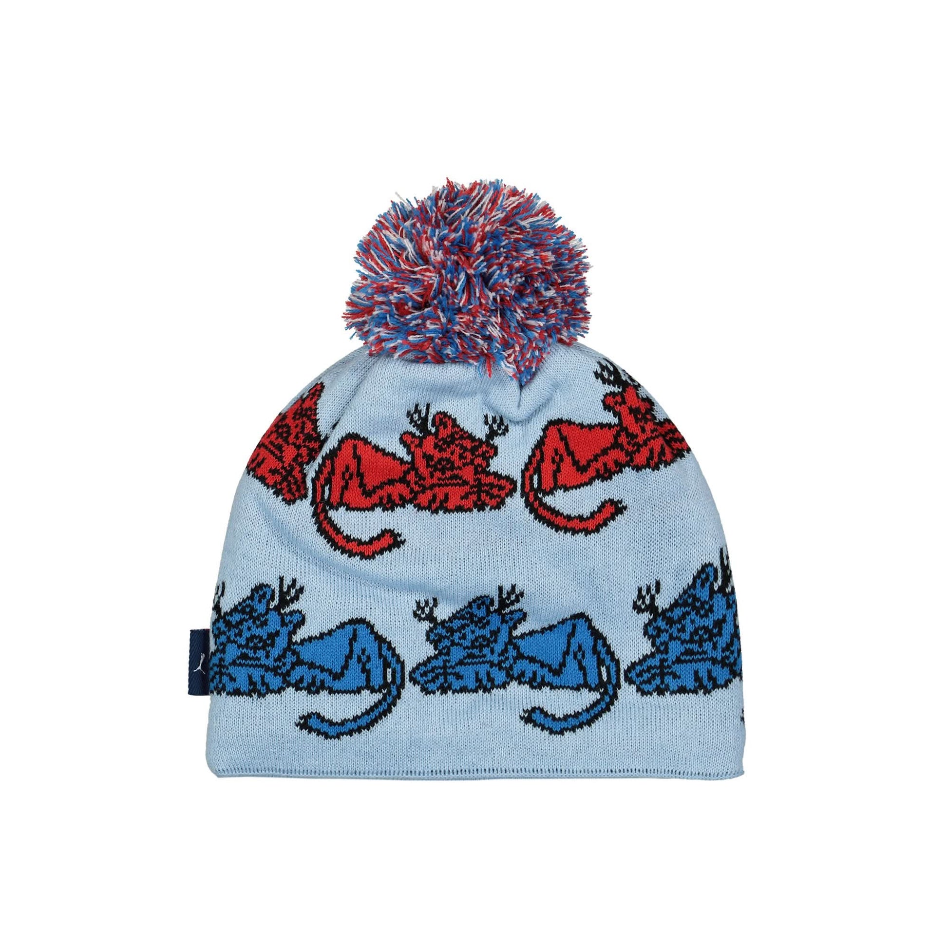 Puma Ski Beanie Blue Detail view 2 | Gate