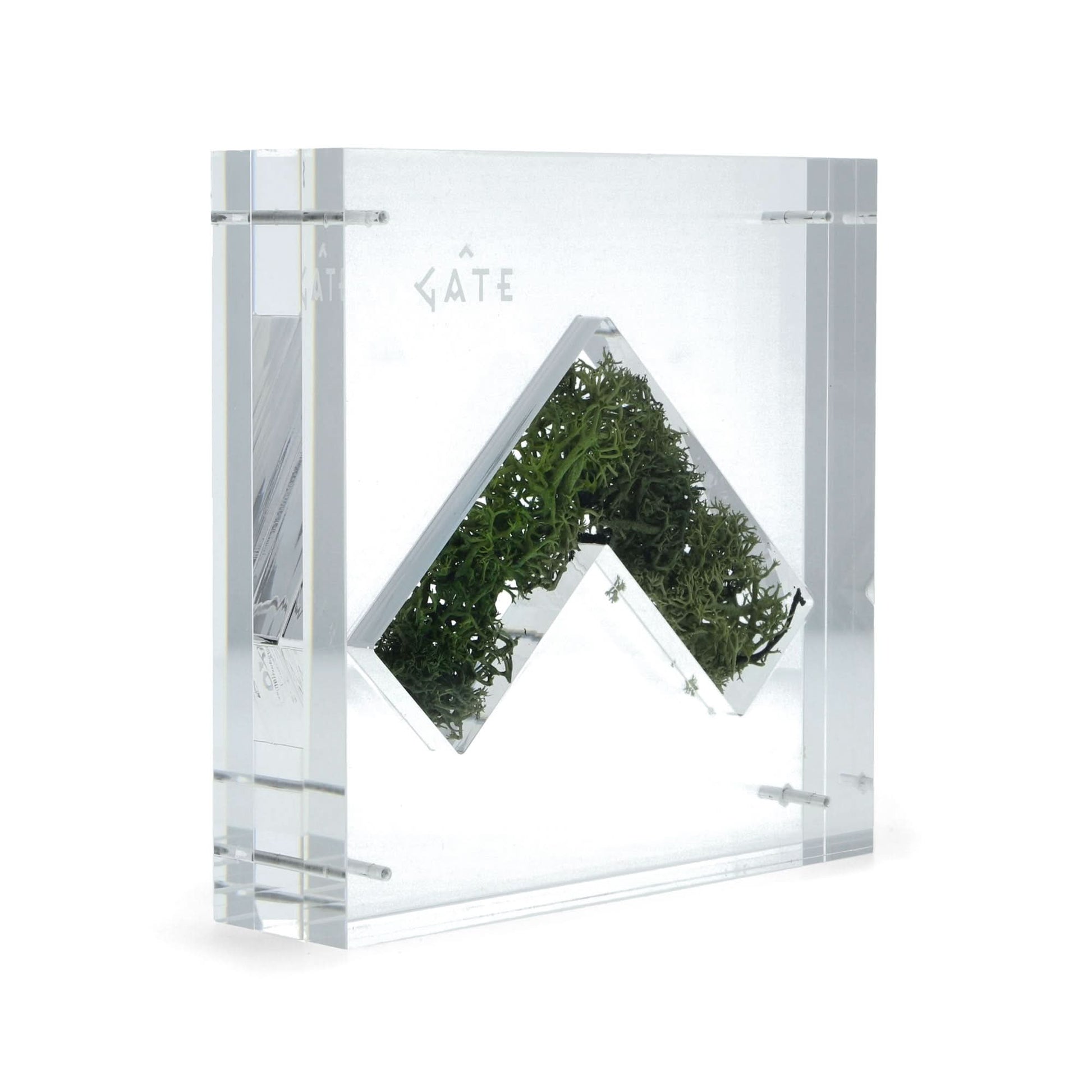 GATE Nature Capsule Transparent Detail view 1 | Gate