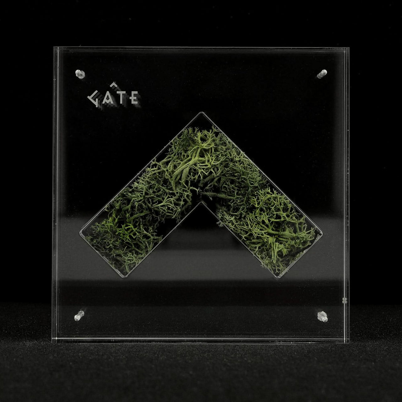 GATE Nature Capsule Transparent Detail view 1 | Gate