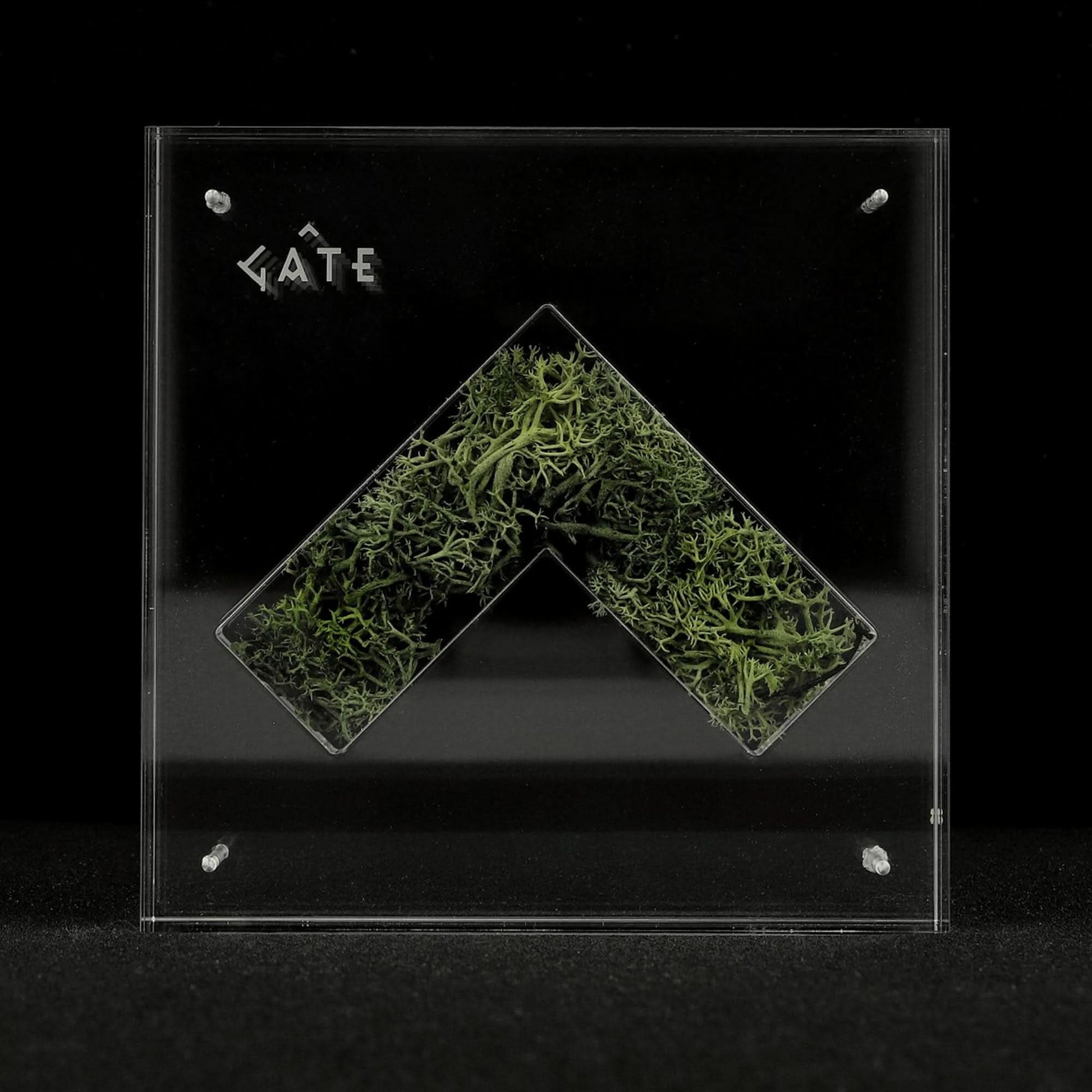 GATE Nature Capsule Transparent Detail view 2 | Gate