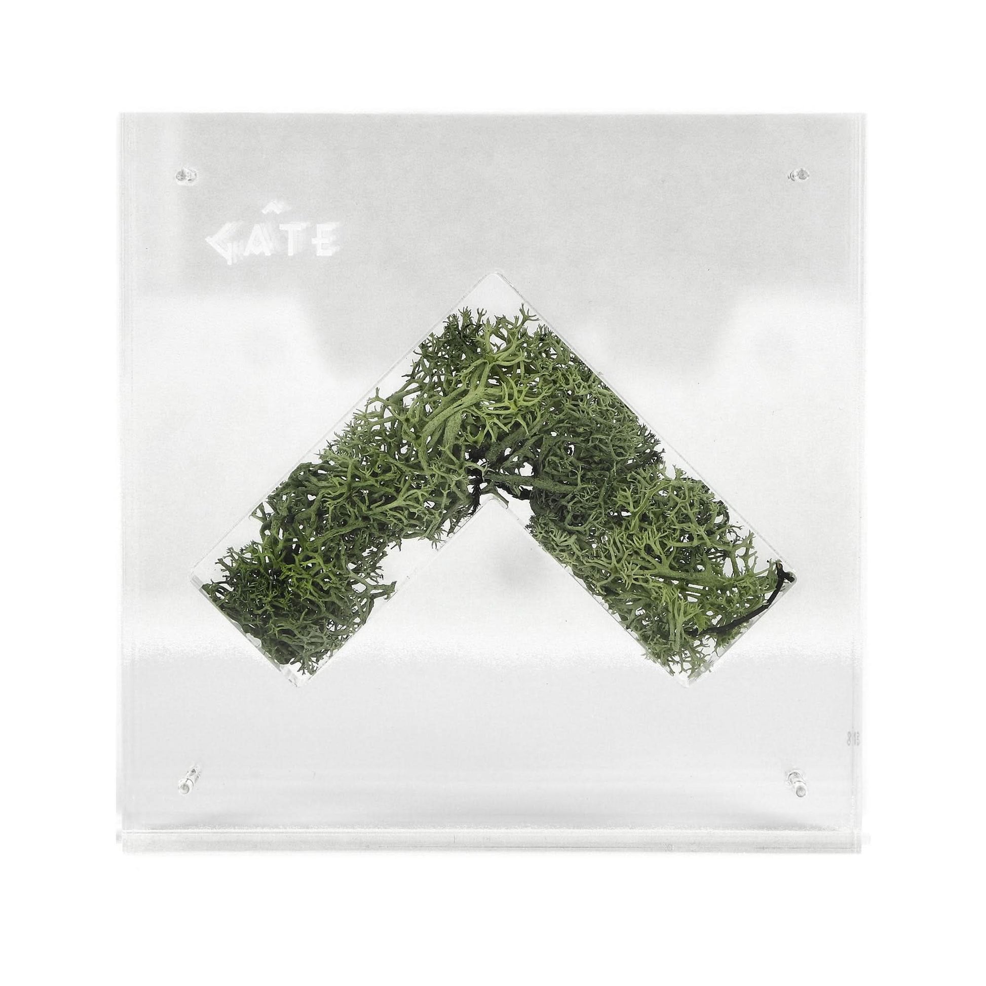 GATE Nature Capsule Transparent Detail view 3 | Gate