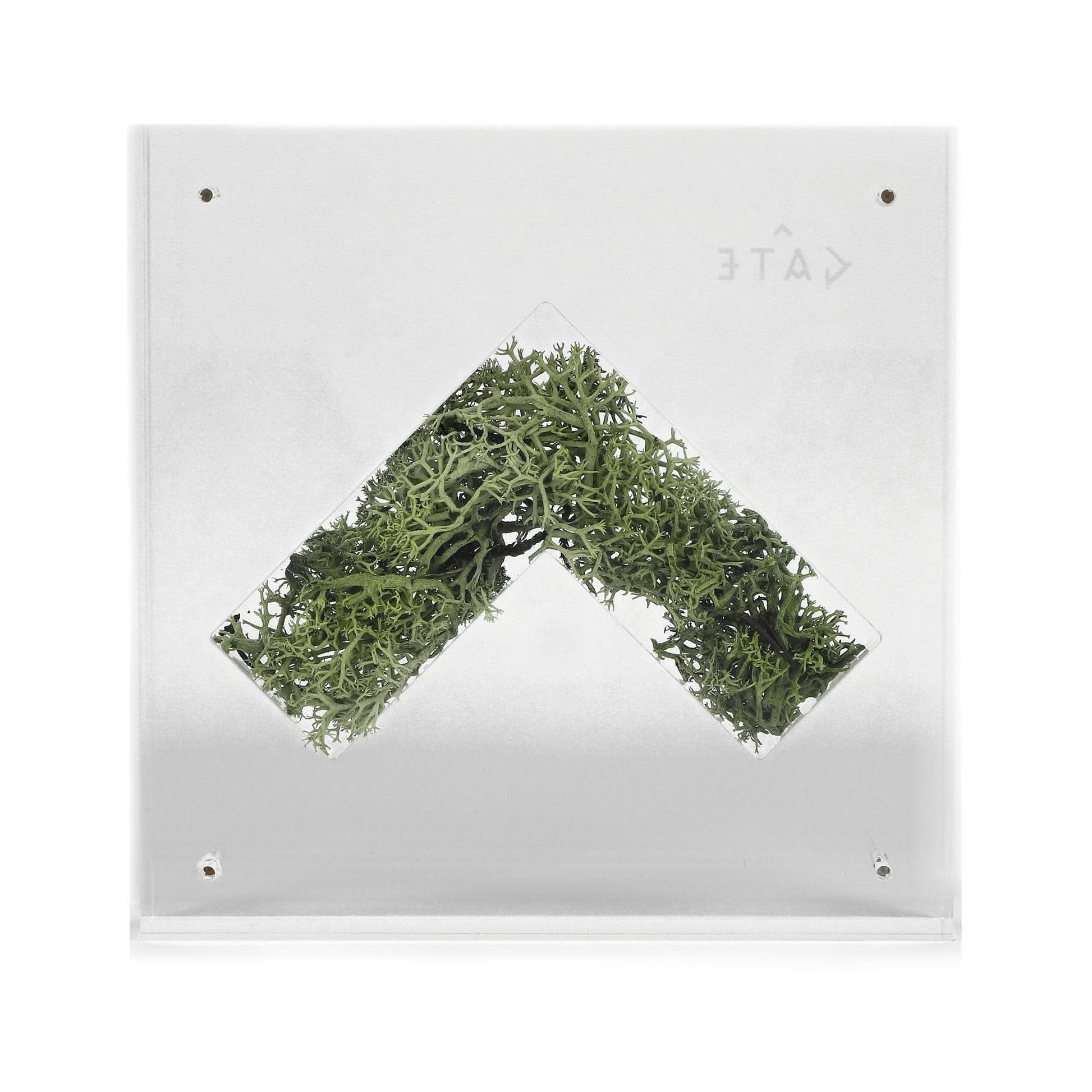 GATE Nature Capsule Transparent Detail view 4 | Gate