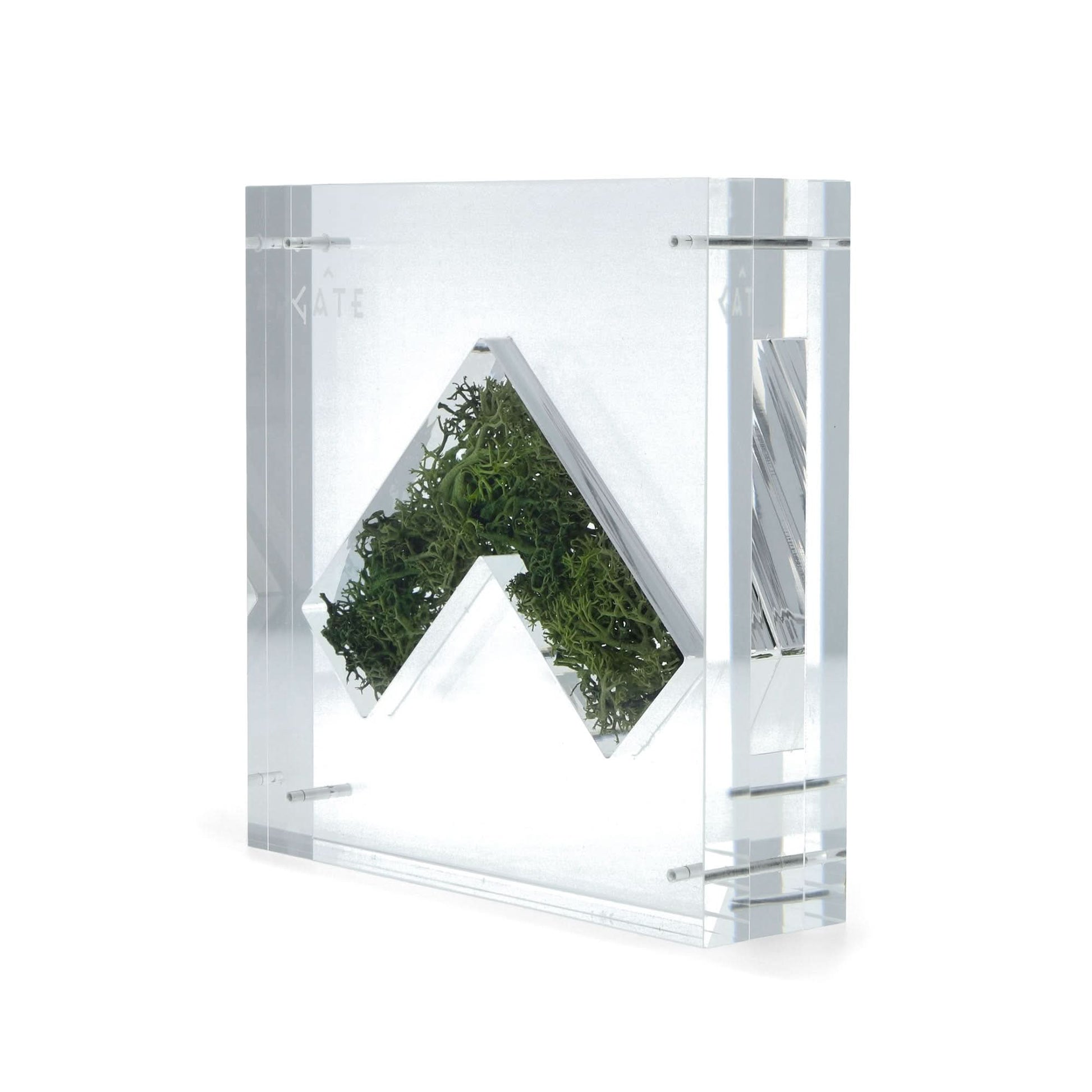 GATE Nature Capsule Transparent Detail view 5 | Gate