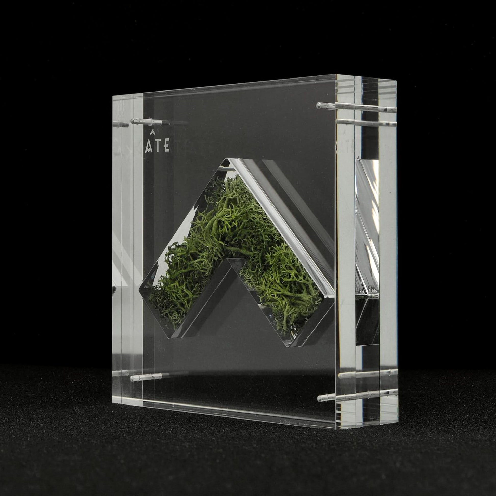GATE Nature Capsule Transparent Detail view 6 | Gate