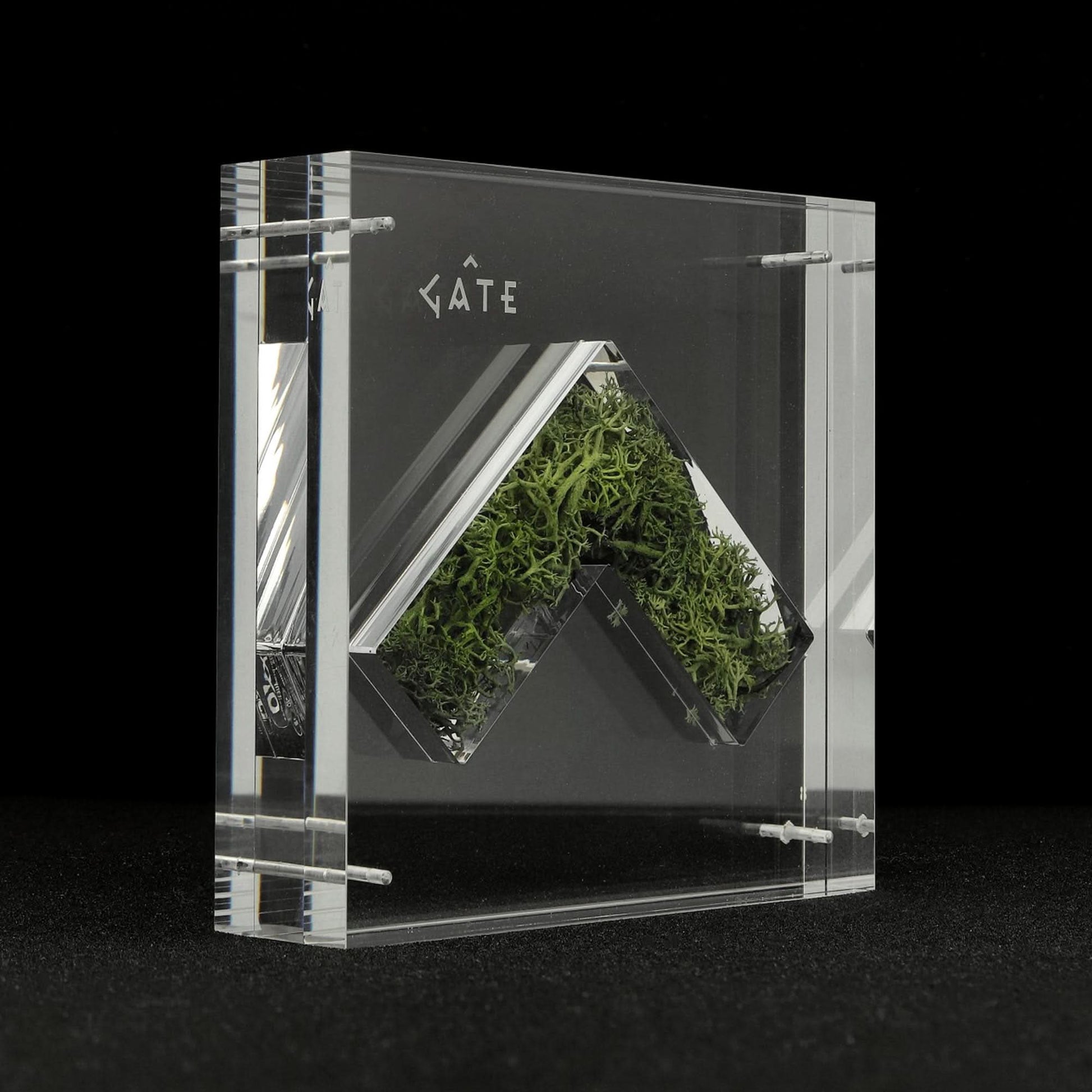 GATE Nature Capsule Transparent Detail view 7 | Gate
