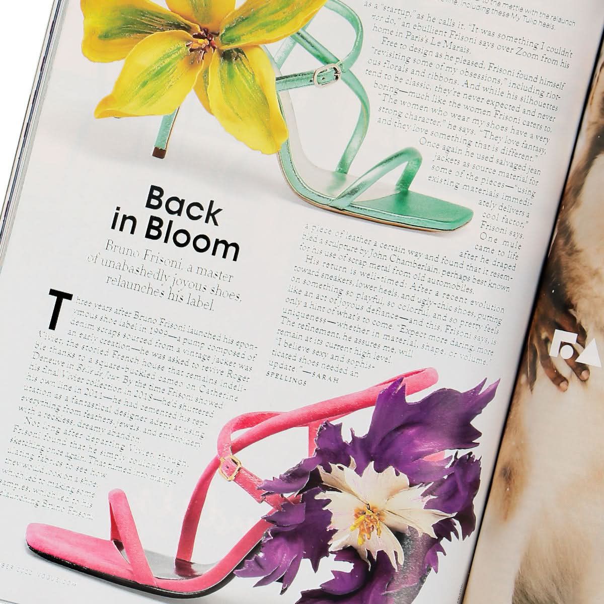 Vogue Magazine Multicolor Detail view 3 | Gate