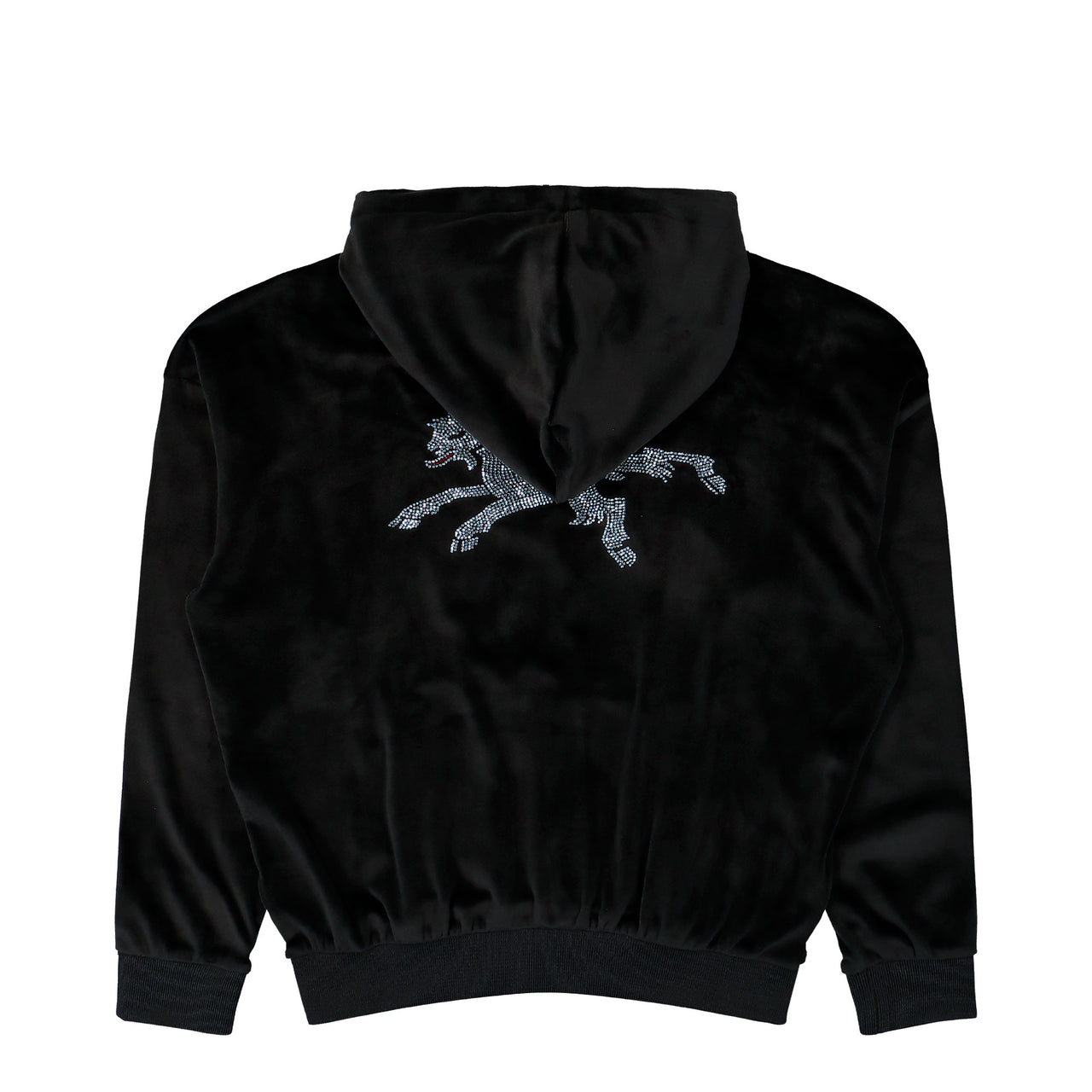 Prototypes Rhinestone Nikki Hoodie Black Hoodie PT09JE06USBK Detail View 1 | GATE
