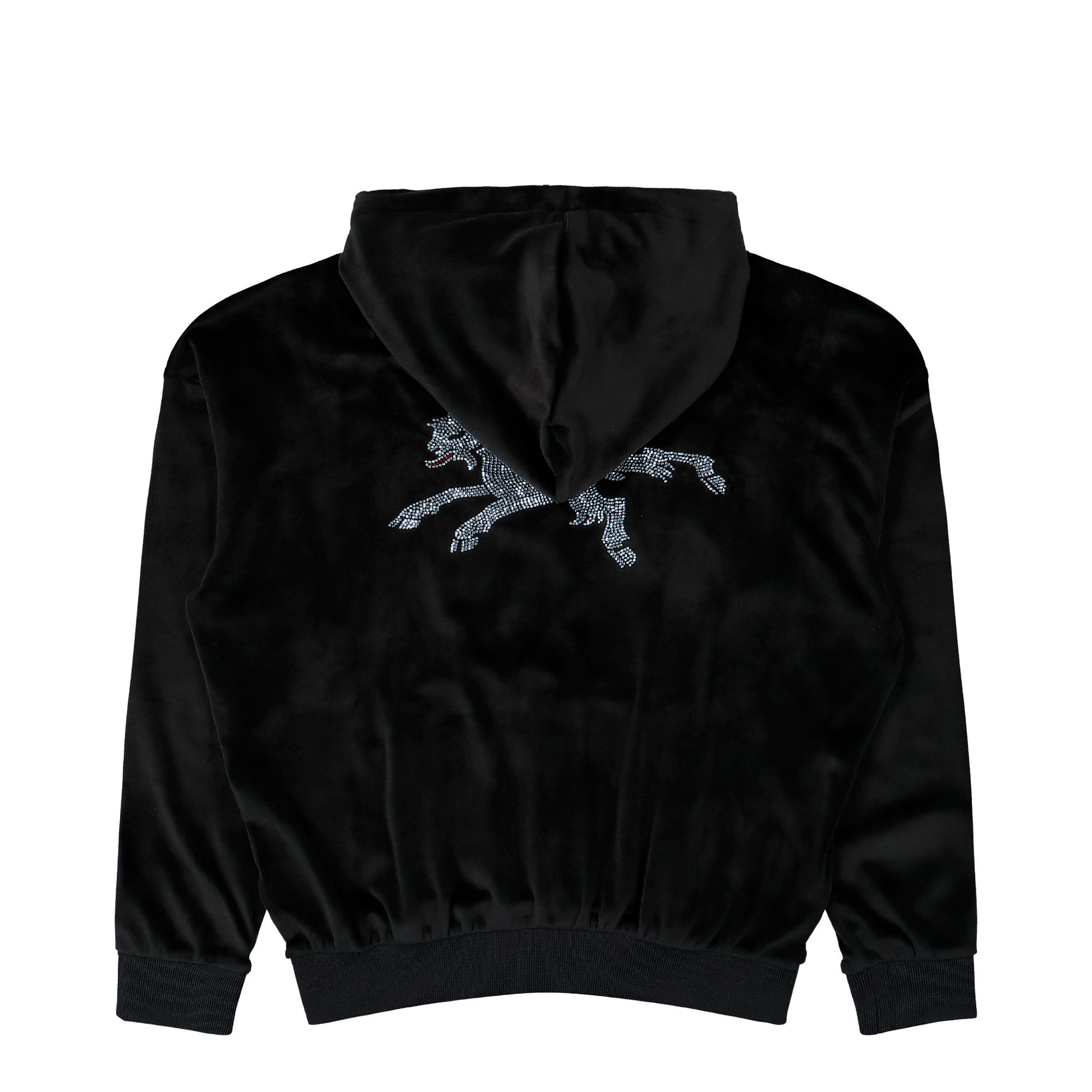 Prototypes Rhinestone Nikki Hoodie Black Hoodie PT09JE06USBK Detail View 2 | GATE
