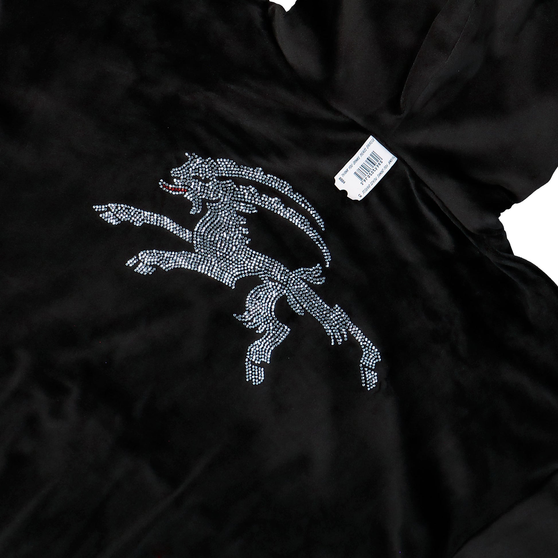 Prototypes Rhinestone Nikki Hoodie Black Hoodie PT09JE06USBK Detail View 5 | GATE
