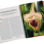 Vogue Magazine March 2025 Multicolor Detail view 7 | Gate