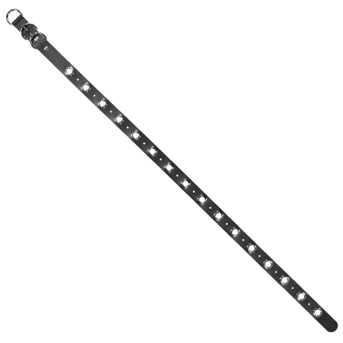 Eyelet Belt